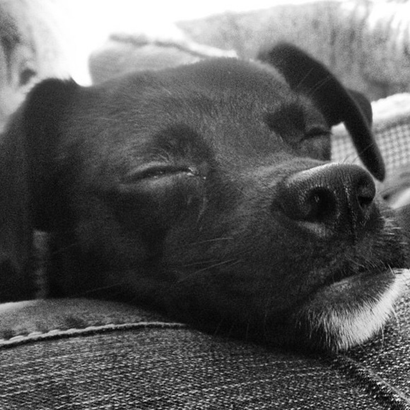 Meet your Posher, Lindsey - Picture 5 of 5